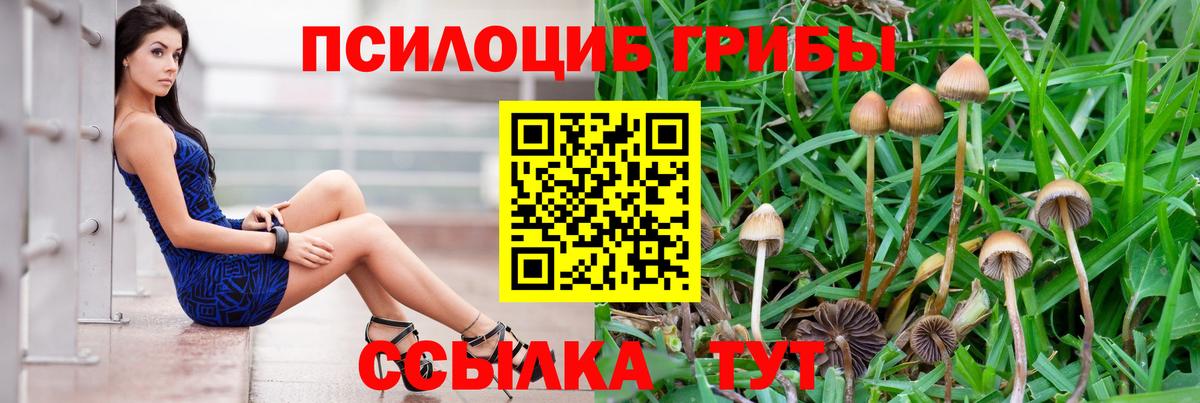 Псилоцибиновые грибы Psilocybe  Вход с VPN  Галлюциногенные грибы GOLDEN TEACHER  Сорочинск 