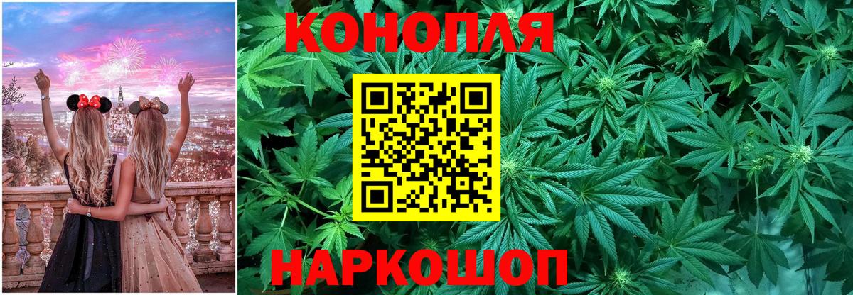 Бошки Шишки семена Сорочинск